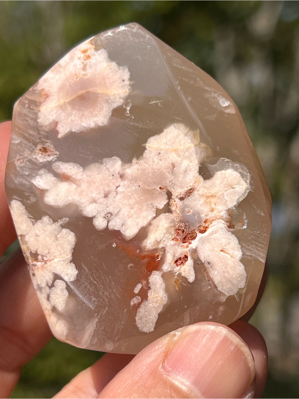 Pink (2) Flower Agate Freeform | crystal